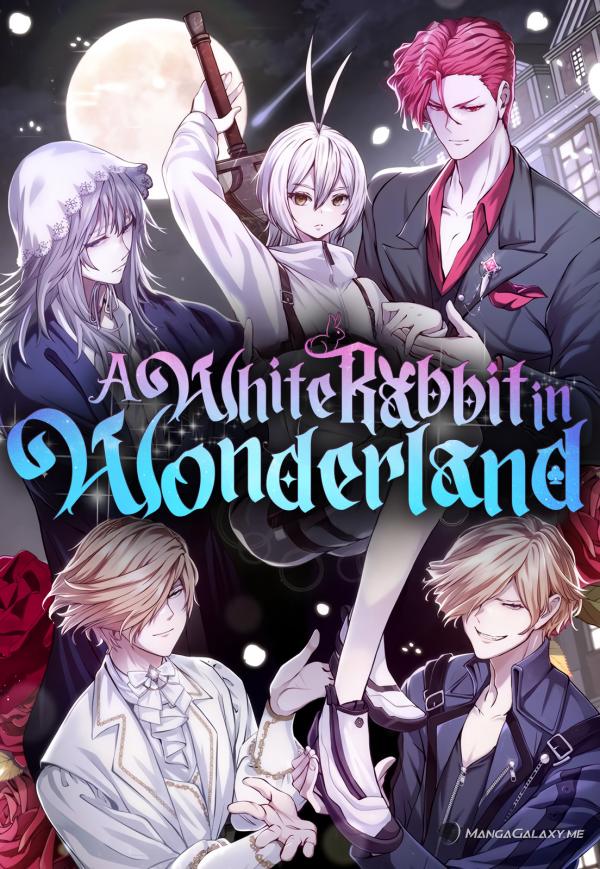 A White Rabbit in Wonderland